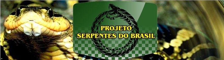 Parceiro Serpentes do Brasil